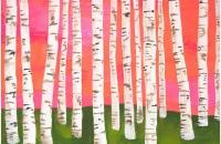 Lisa Congdon, ilustradora 