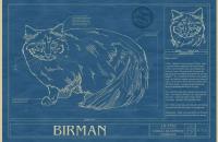 Animal Blueprint Company, para los amantes de las mascotas