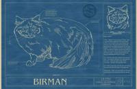 Animal Blueprint Company, para los amantes de las mascotas