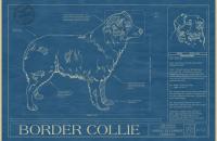 Animal Blueprint Company, para los amantes de las mascotas