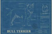 Animal Blueprint Company, para los amantes de las mascotas