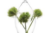 Chive, recipientes para flores