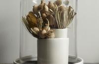 Colaboración Shane Powers + West Elm, recipientes para plantas