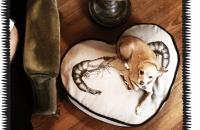 See Scout Sleep, almohadones premium para mascotas