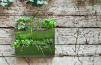 Shift Design, diseños ecológicos para tu jardín