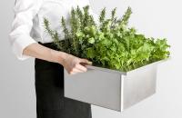 Plantas en la cocina con los Herb Pot de Toyo